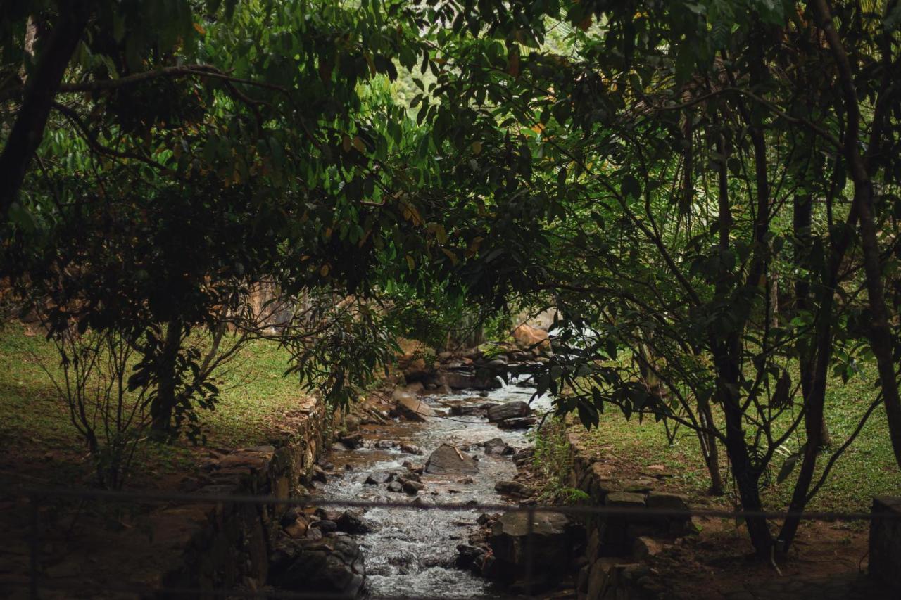 Sati Villa Kandy Sri Lanka Eksteriør billede